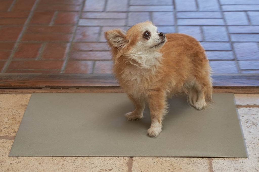 CopperPaw Mat - Special Offer - Copper Footmat