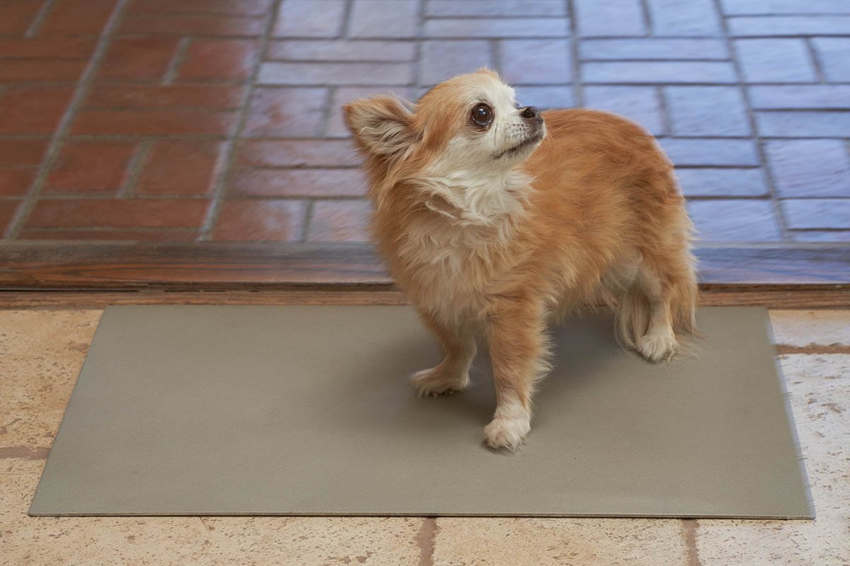 CopperPaw Mat - Special Offer - Copper Footmat