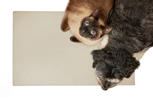 CopperPaw Mat - Copper Footmat